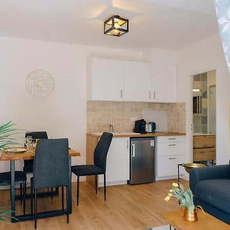 Apartment Avec Jardin Begles