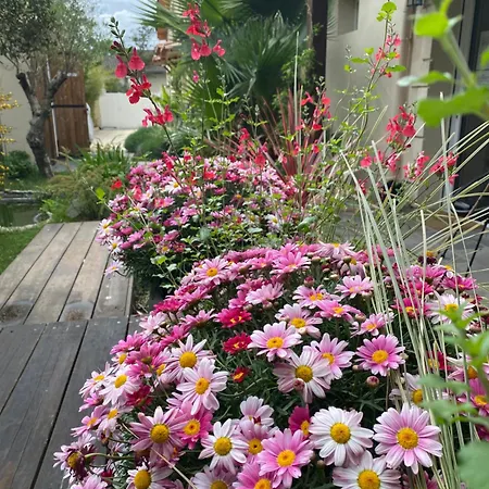 アパート Avec Jardin